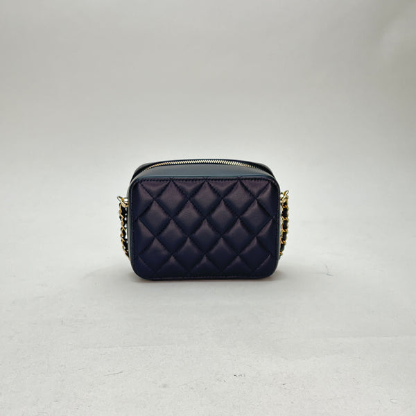 Quilted Camera Crossbody bag in Lambskin, Gold Hardware