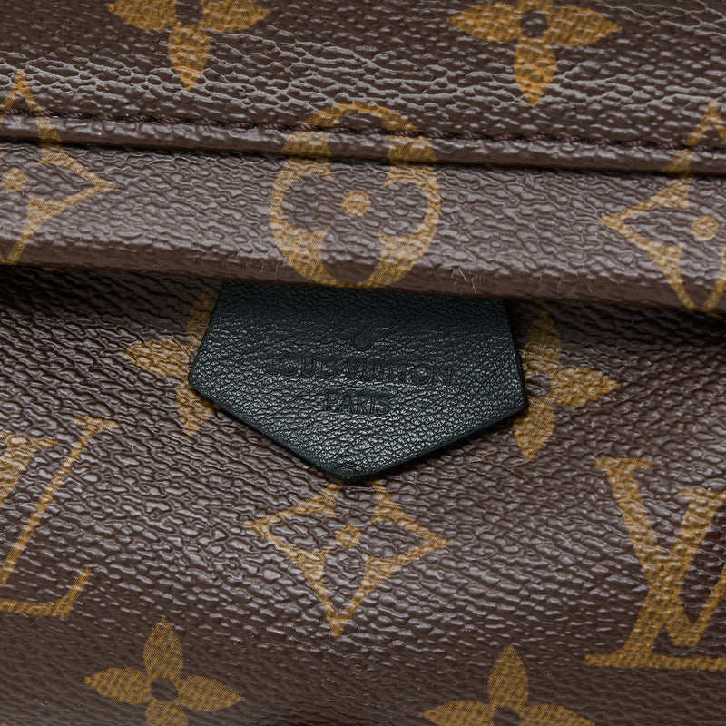 Louis Vuitton Ebene Reverse Monogram Coated Canvas Mini Palm