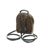 Palm Springs Mini Backpack in Monogram Coated Canvas, Gold Hardware